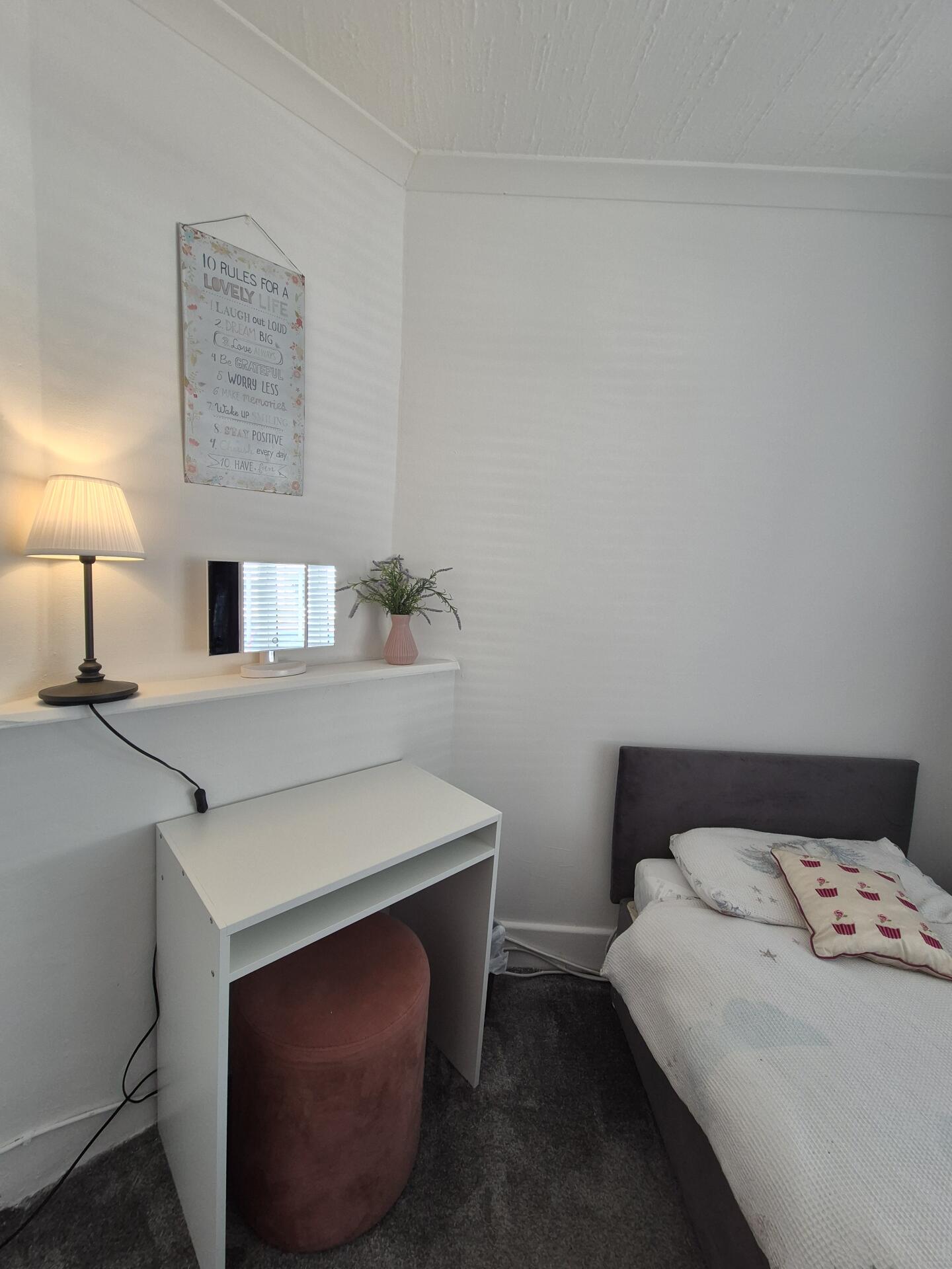 Spare Room in Dublin 8 Brona36-6a7608b6d2d29.jpg