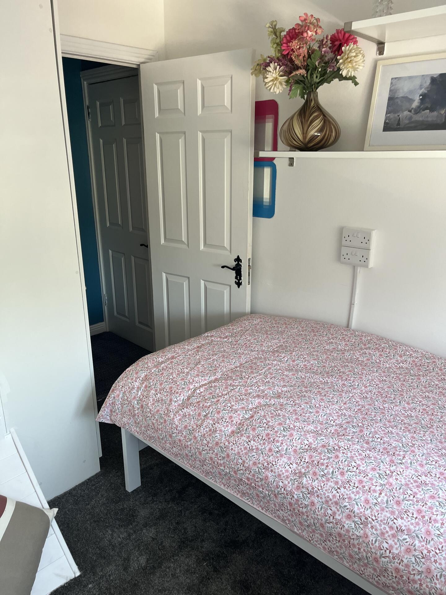 Spare Room in Dublin 5 annmulhall-6a58c6e01e73f.jpg